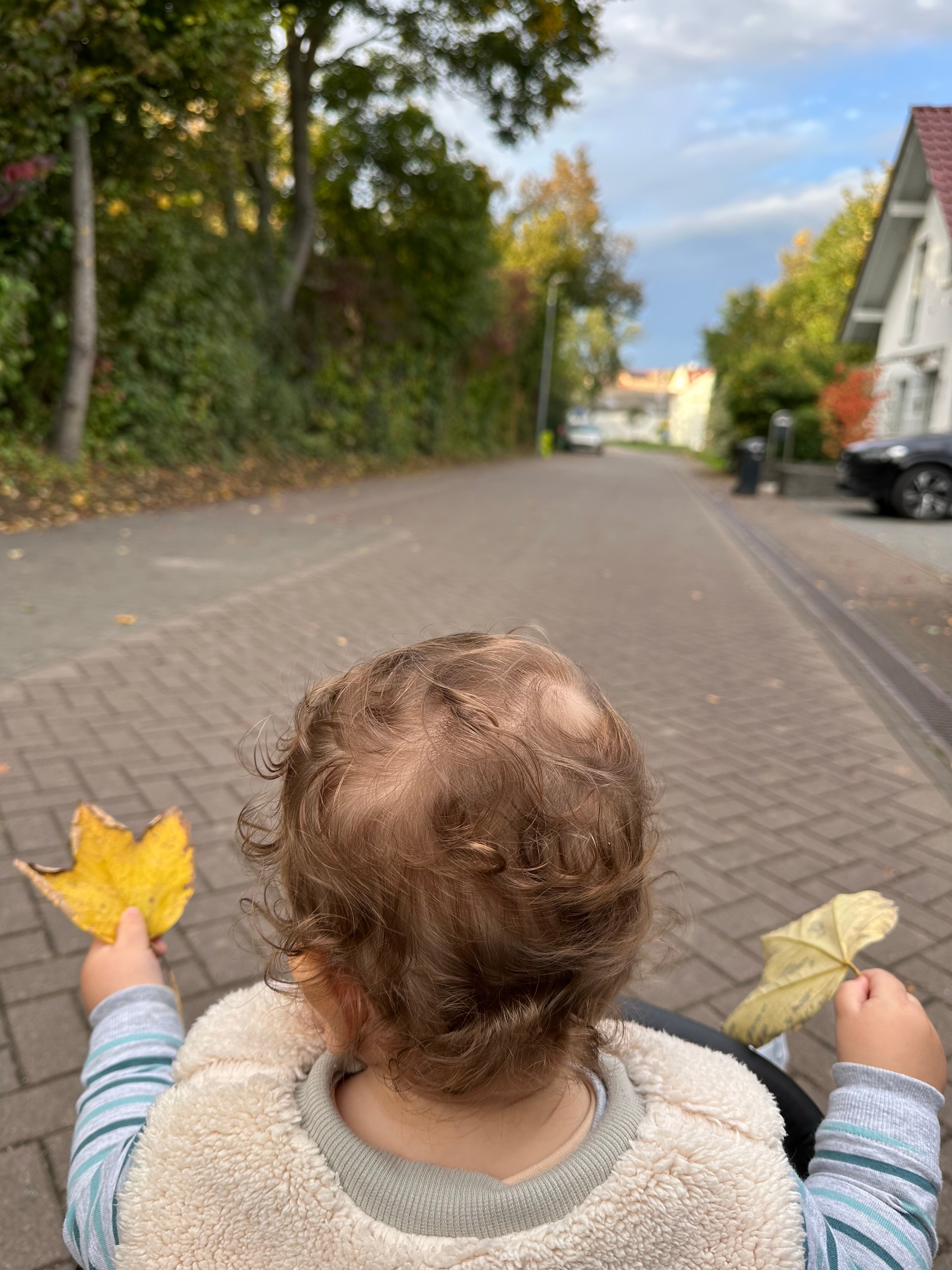 toddler in stroller holding two leaves